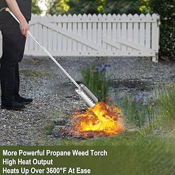 Havefundog one over fun ランタン bonbonero Havefundog one over fun ランタン bonbonero